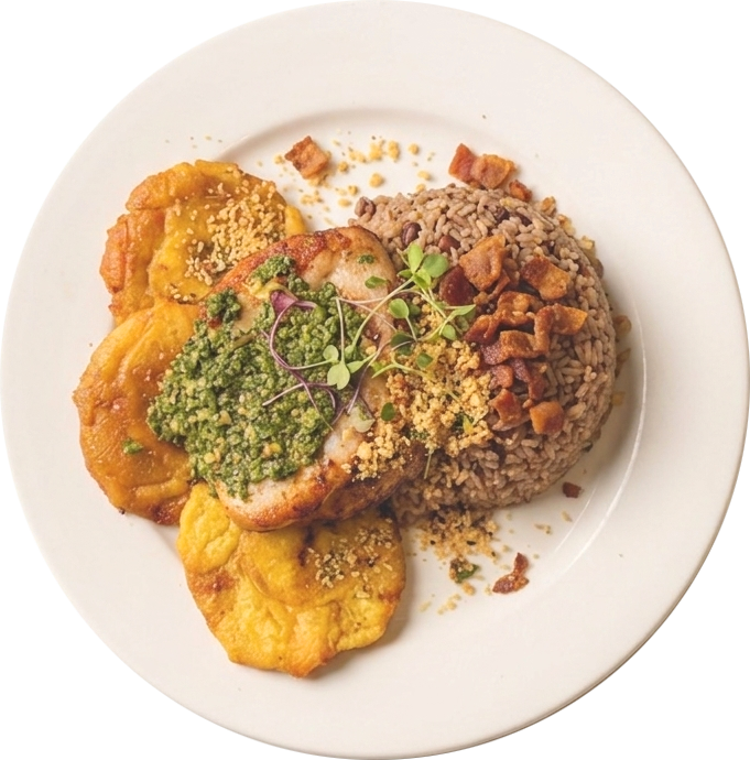 Latin Porcheta-Prado 264 lousville